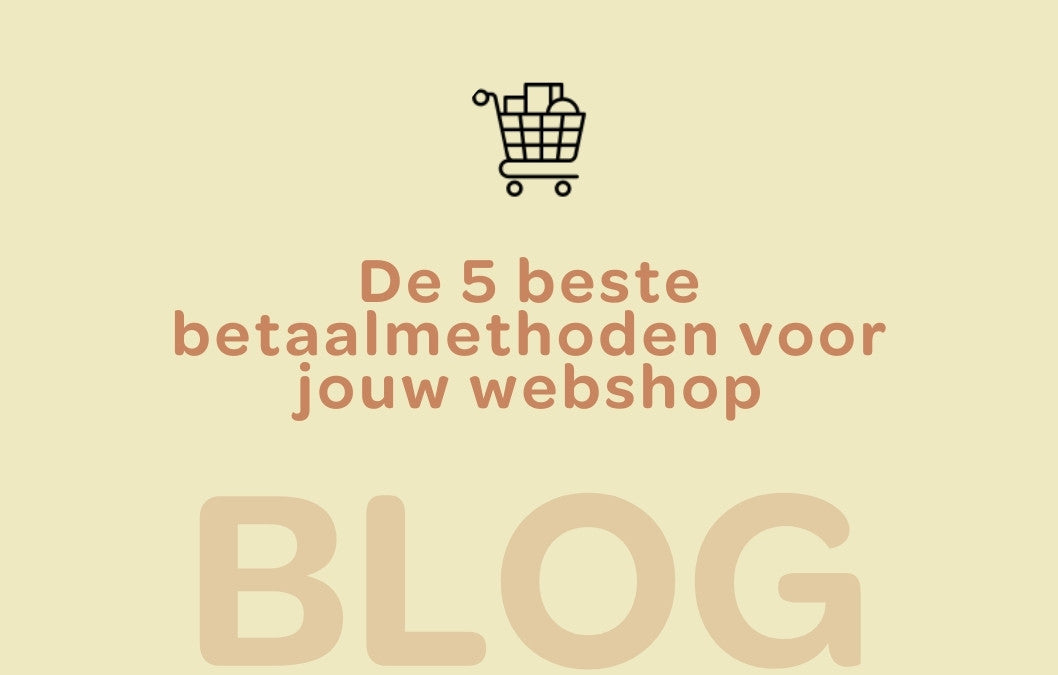 de 5 beste betaalmethoden voor jouw webshop