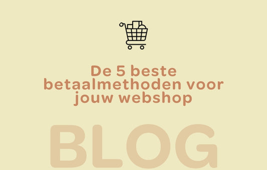 de 5 beste betaalmethoden voor jouw webshop