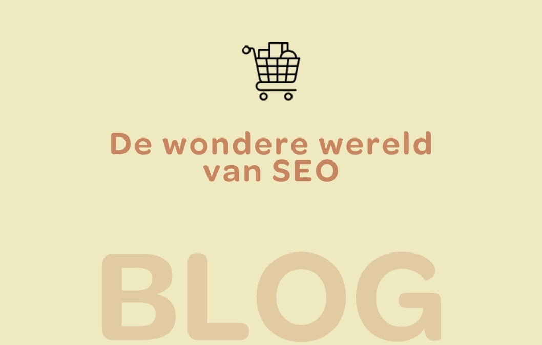 SEO is enorm belangrijk om je webshop gevonden te laten worden in Google