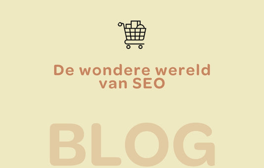 SEO is enorm belangrijk om je webshop gevonden te laten worden in Google