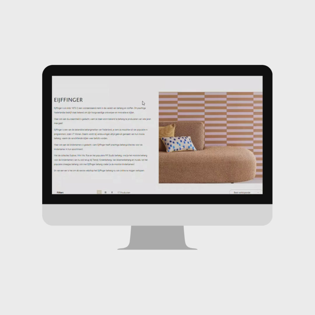 Laad video: Webshop laten bouwen